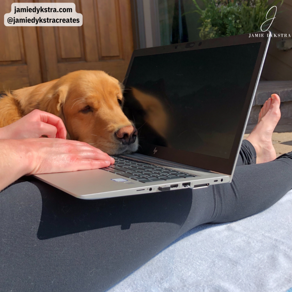 Golden retriever laying on a laptop.