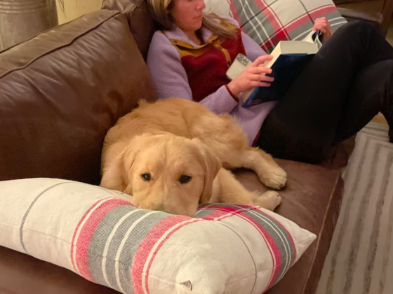 A picture of me reading on the couch with my Golden retriever laying next to me with his head on a pillow.