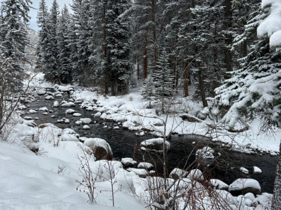 A picture of a walking trail along a creek with a fresh coat of powdery snow and evergreen trees towering over the creek at the base of a mountain.