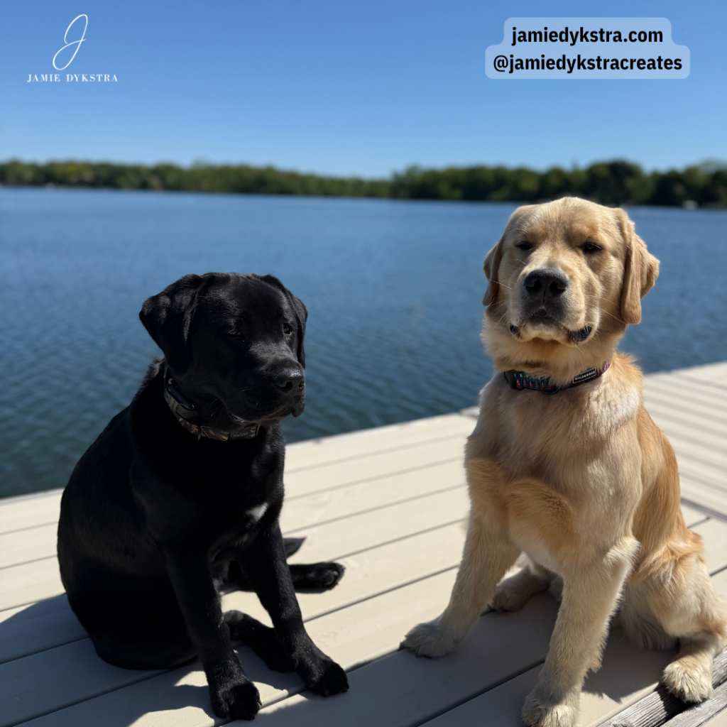 A black lab and a golden retriever sitting on the end of a pier at a lake on a sunny day.