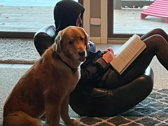 A picture of me sitting in a chair studying with my hood up and my Golden Retriever sitting next to me.
