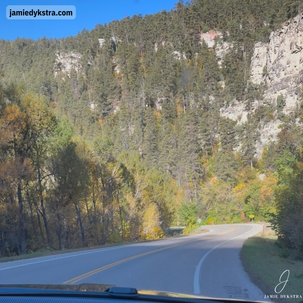 A picture from the passenger seat of a car winding through a canyon in early fall.