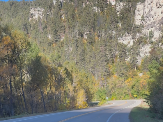 A picture from the passenger seat of a car winding through a canyon in early fall.