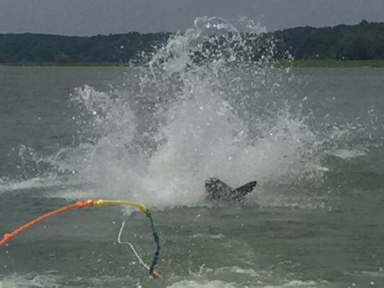 A picture of me falling while water skiing where all you can see is the tips of the skis, splashing water, and the rope.