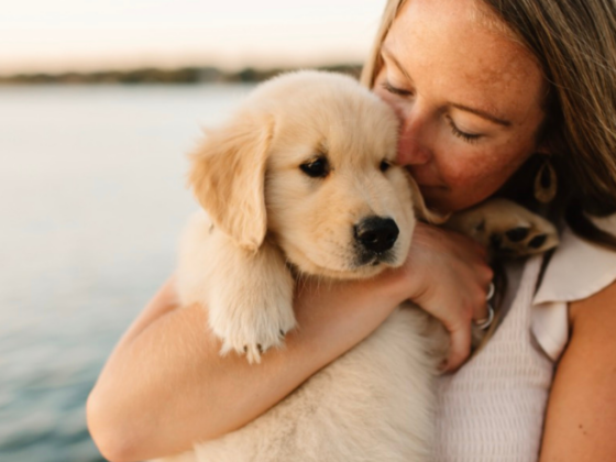 A photo of me standing on a pier, holding a Golden Retriever puppy and kissing him on the head.